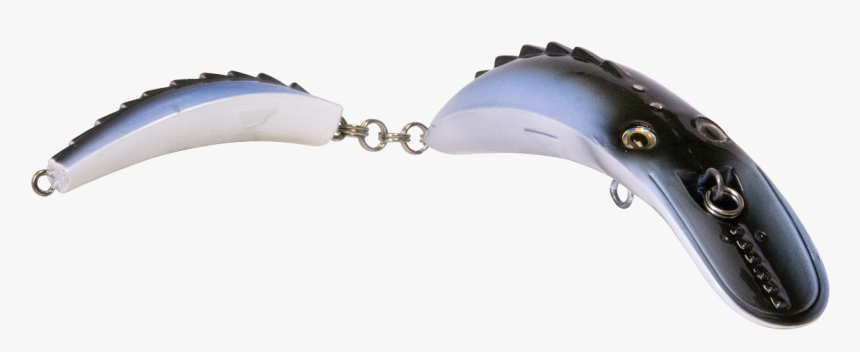 Whale, HD Png Download