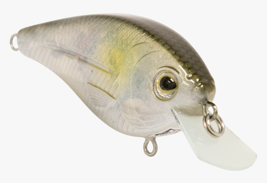 Bait Png, Transparent Png