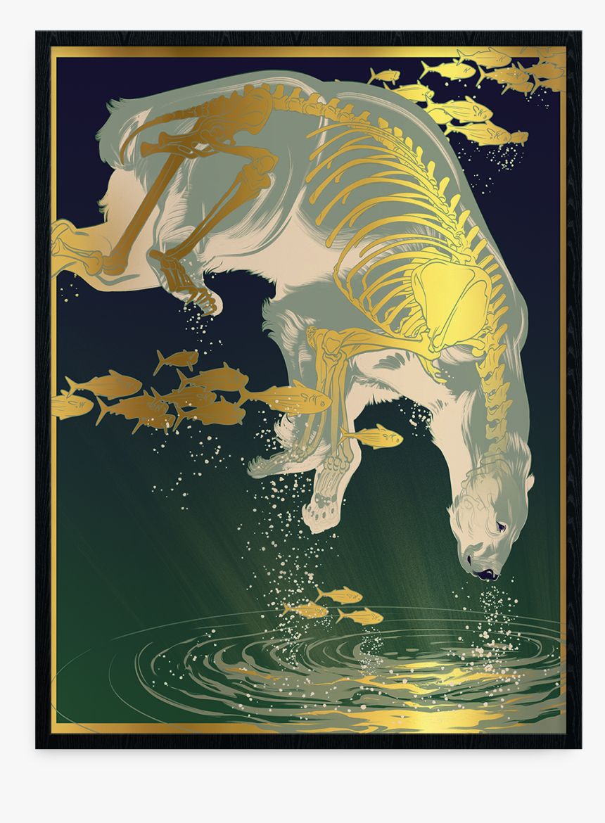 J - A - W - Cooper, Luminous - Jaw Cooper, HD Png Download