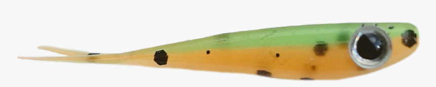 Whitebait, HD Png Download