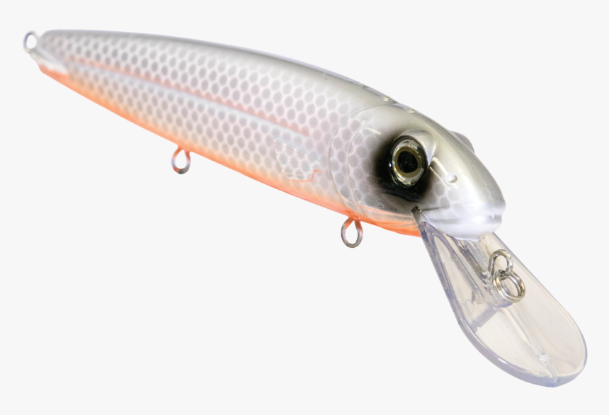 Sardine, HD Png Download