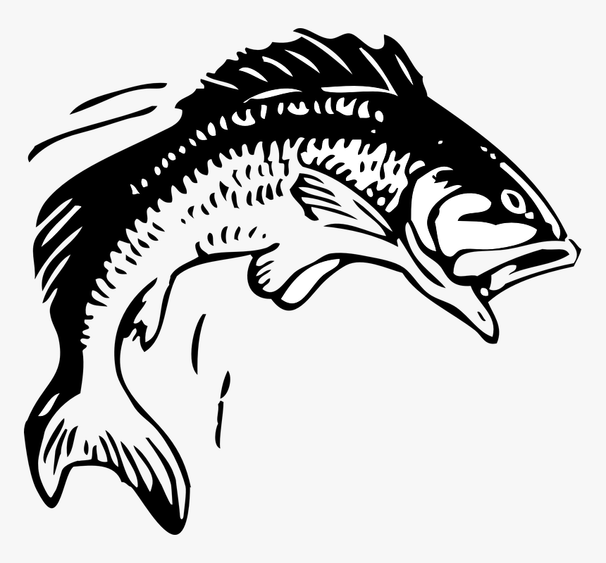 Fish Clipart Black And White, HD Png Download