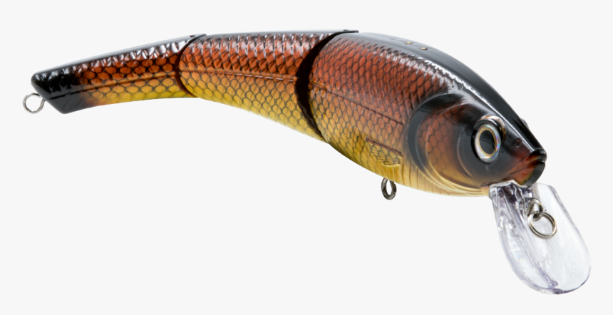 Bait Fish , Png Download - Lunge, Transparent Png