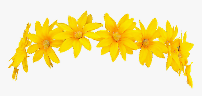 #snapchat #filter #flowercrown #character #render #freetouse - Yellow Flower Crown Png, Transparent Png