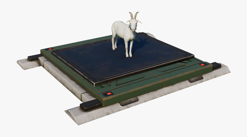   - Goat, HD Png Download