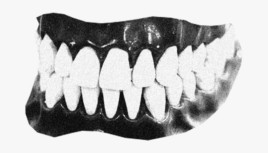 Gums, HD Png Download