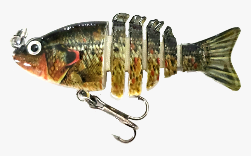 Fish, HD Png Download