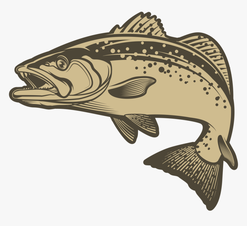 Bass, HD Png Download