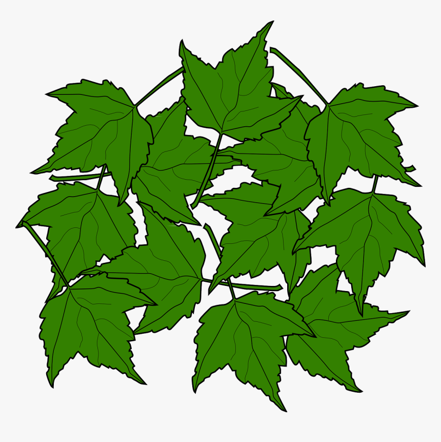 Maple Leaves Svg Clip Arts - Portable Network Graphics, HD Png Download