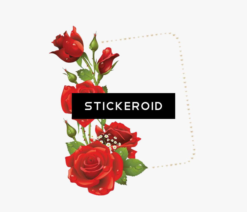 red flower frame border frames png download rose flower png vector transparent png transparent png image pngitem red flower frame border frames png
