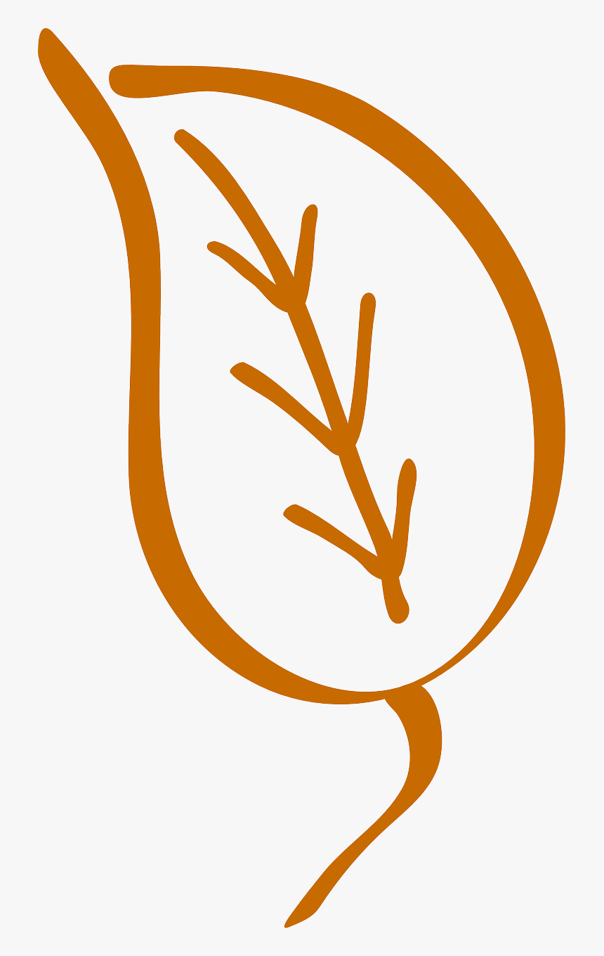 Folha De Arvore Contorno, HD Png Download