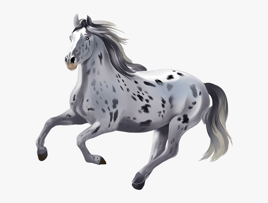 Stallion, HD Png Download