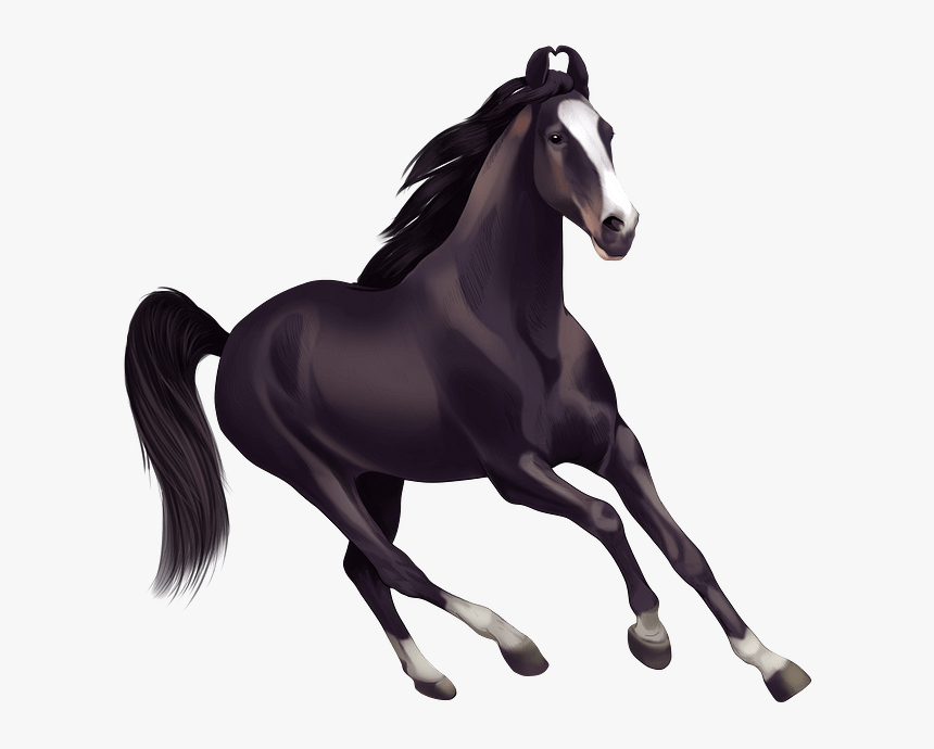 Horses Clipart, HD Png Download