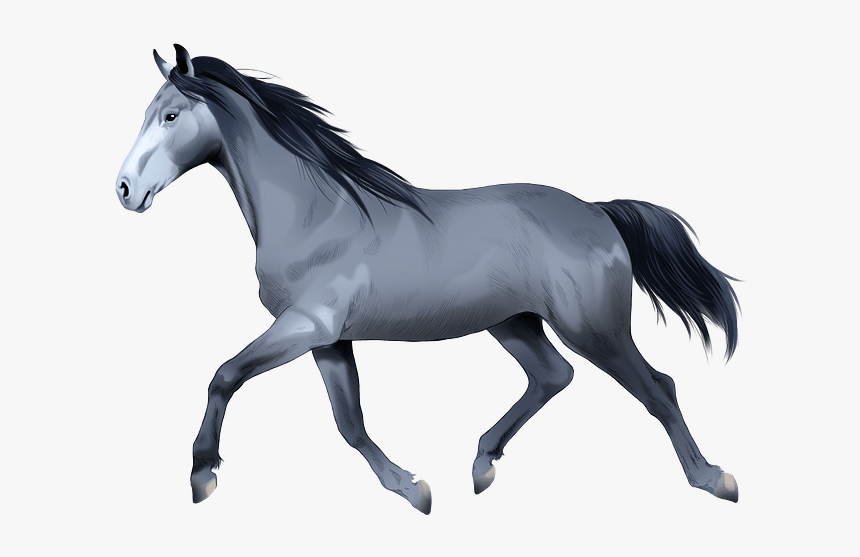 Stallion, HD Png Download