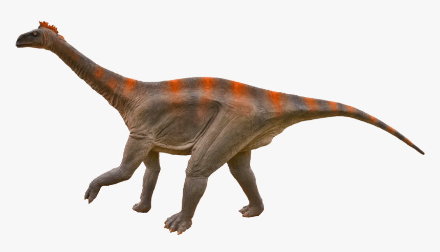 Diplodocus Png Transparent - Diplodocus Png, Png Download