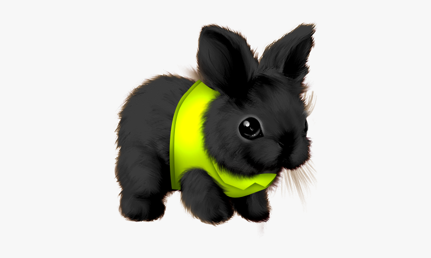 Domestic Rabbit, HD Png Download