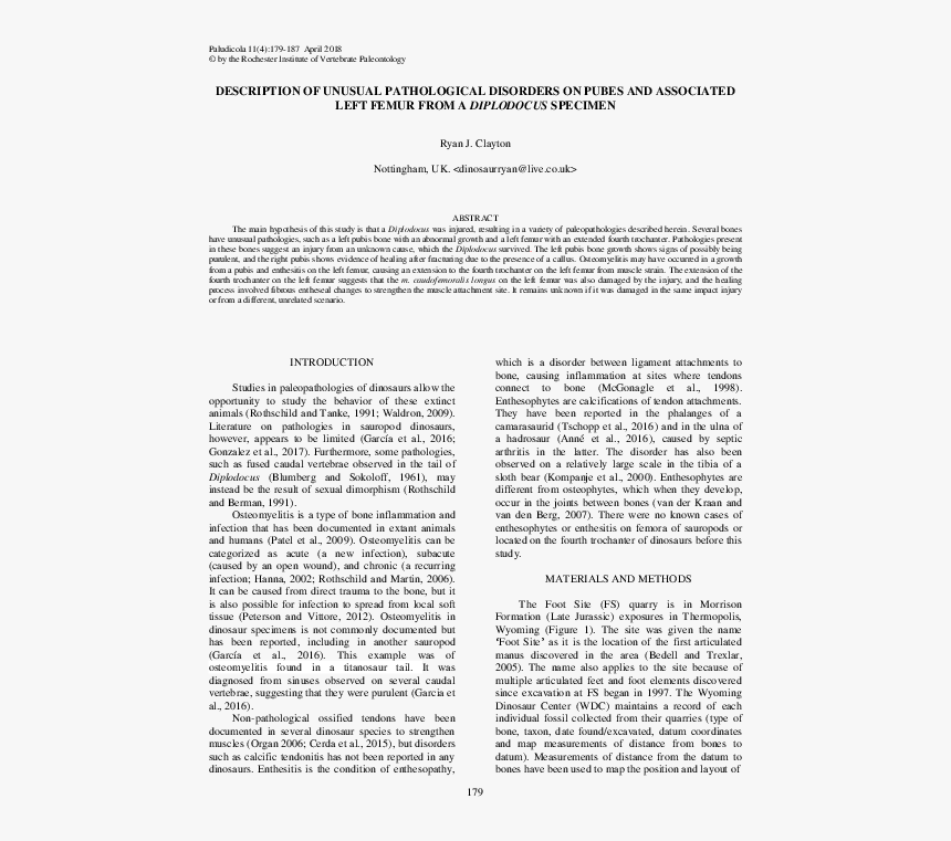 Interpretation Text, HD Png Download