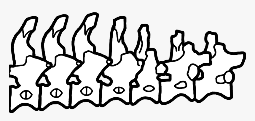 Vertebrae, HD Png Download
