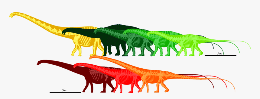 Tyrannosaurus, HD Png Download