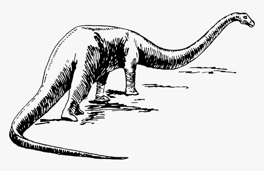 Monochrome Like Mammal - Black And White Dinosaur Vectors, HD Png Download