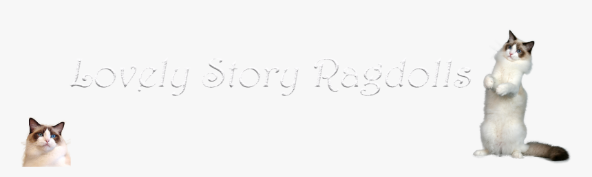 Calligraphy, HD Png Download