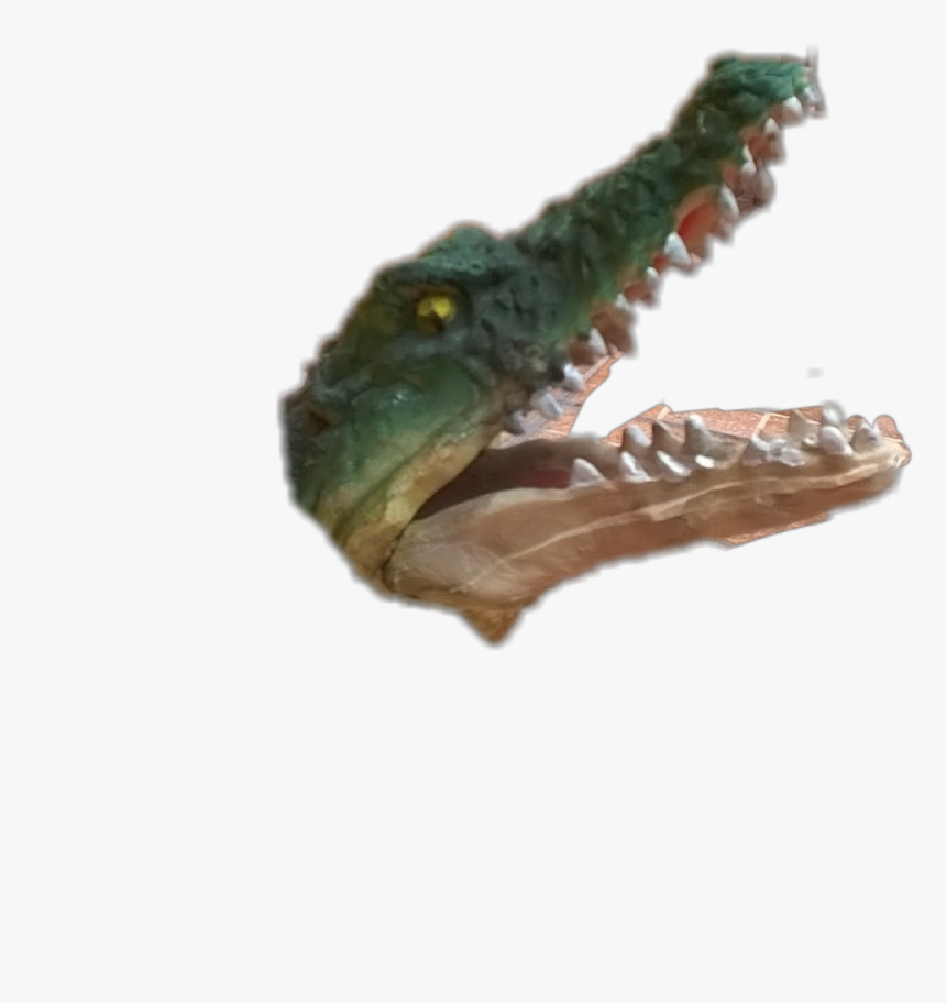 #cocodrilo - Cocodrilo Png, Transparent Png