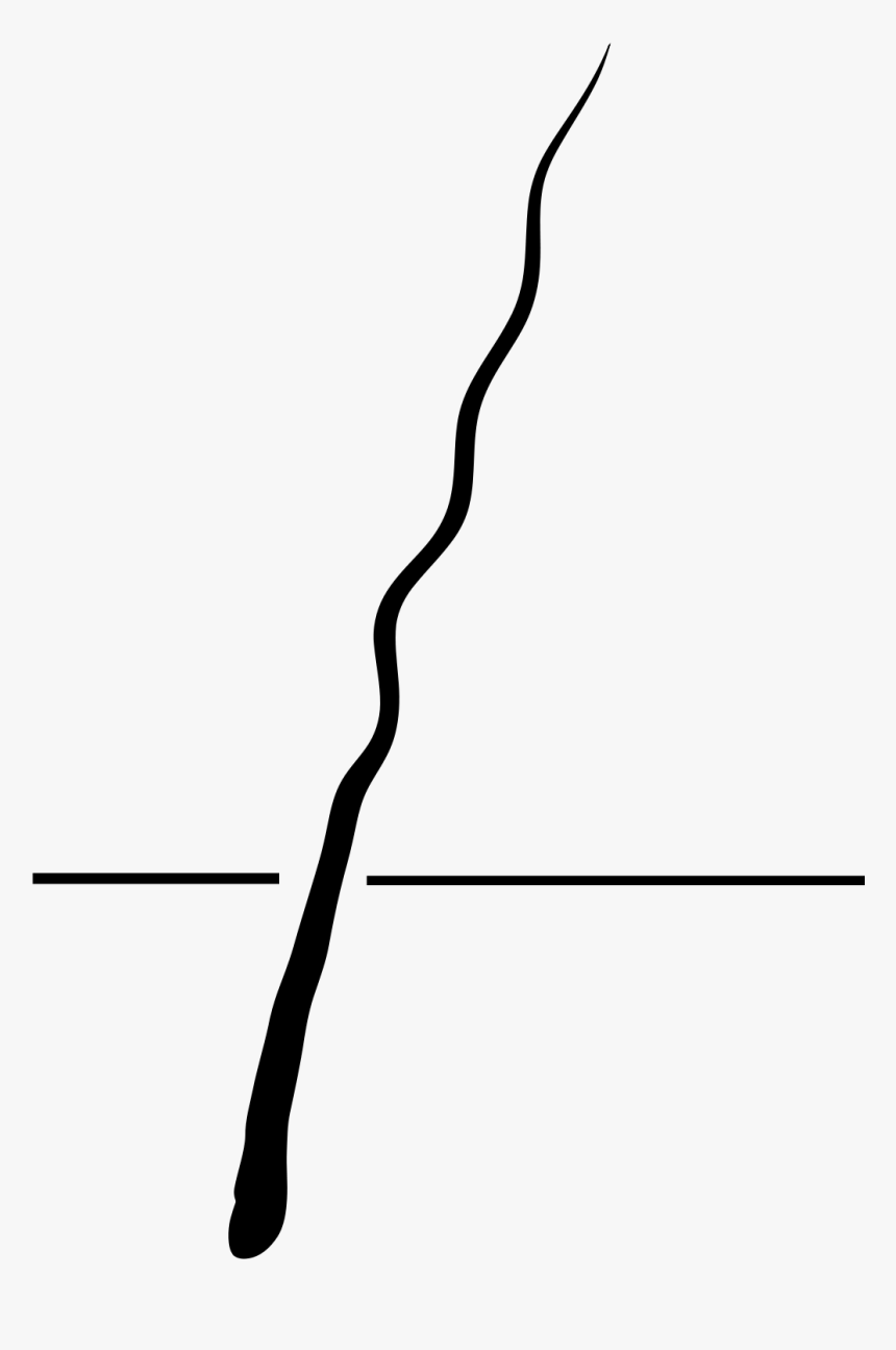 Illustration, HD Png Download