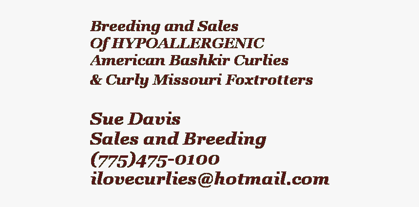 Merry Christmas And Happy New, HD Png Download