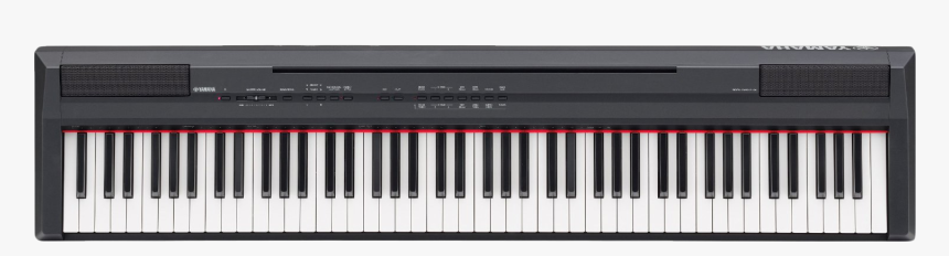 Teddy Bear Png Transparent Image - Piano Png, Png Download