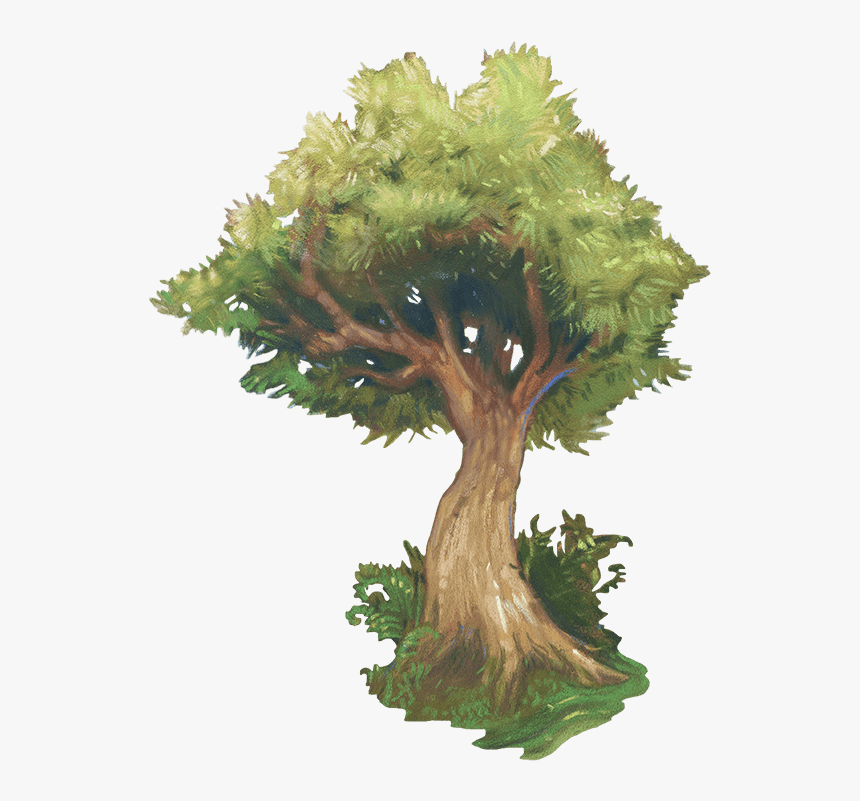 Bonsai, HD Png Download