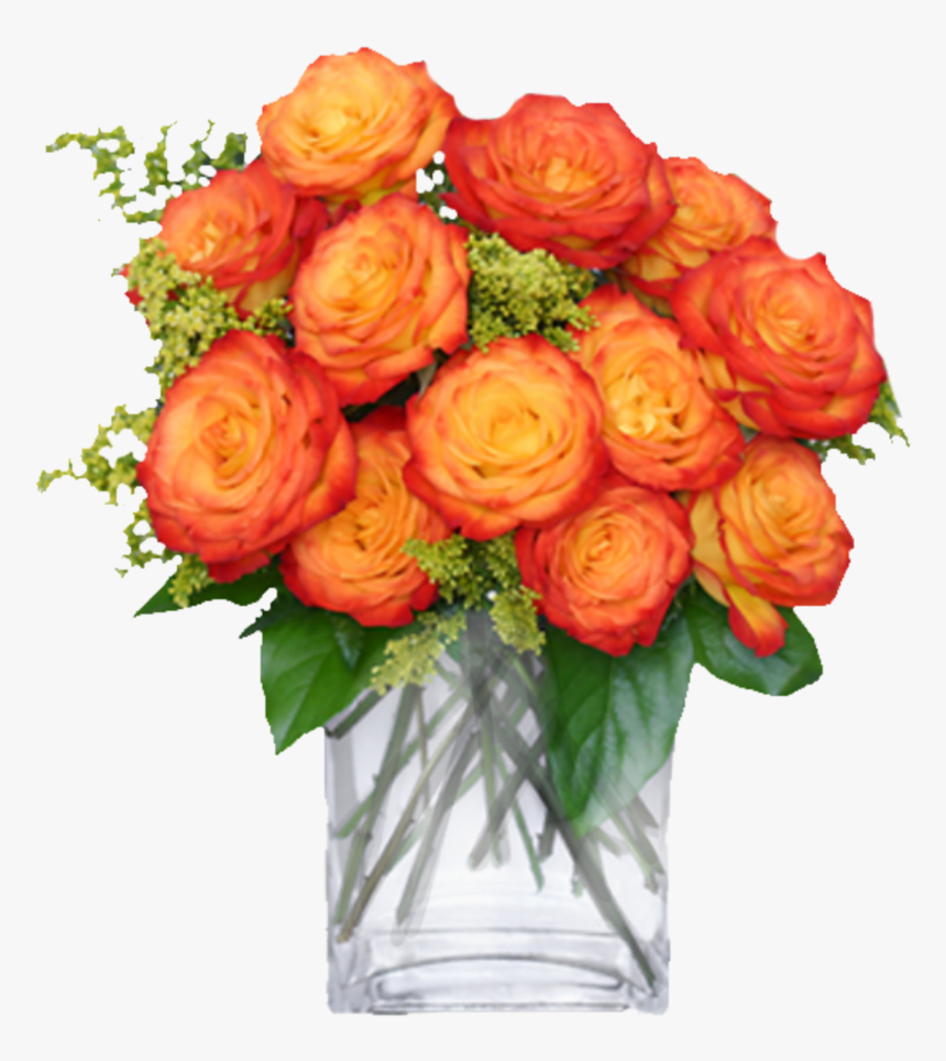 #carnation #carnations #flor #flores #flower #flowers - Circus Roses, HD Png Download