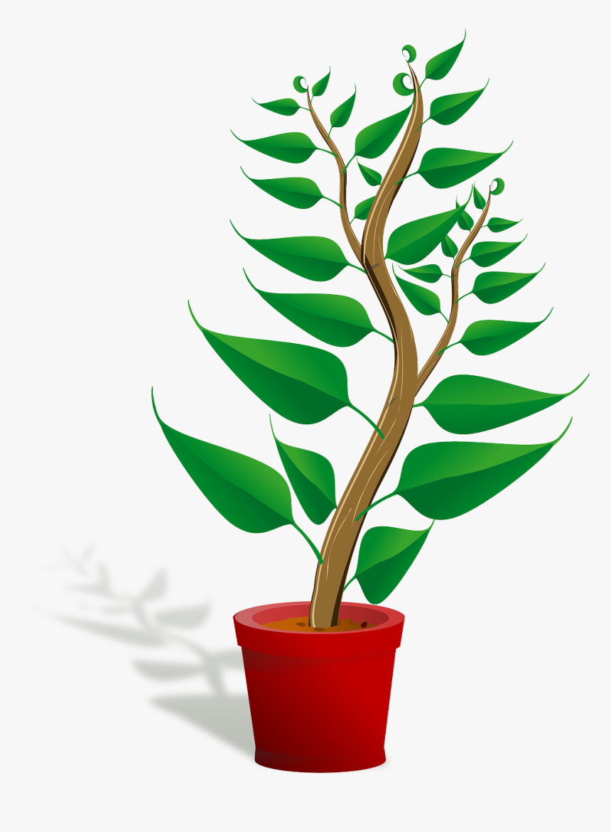 Plant Clip Art Png, Transparent Png