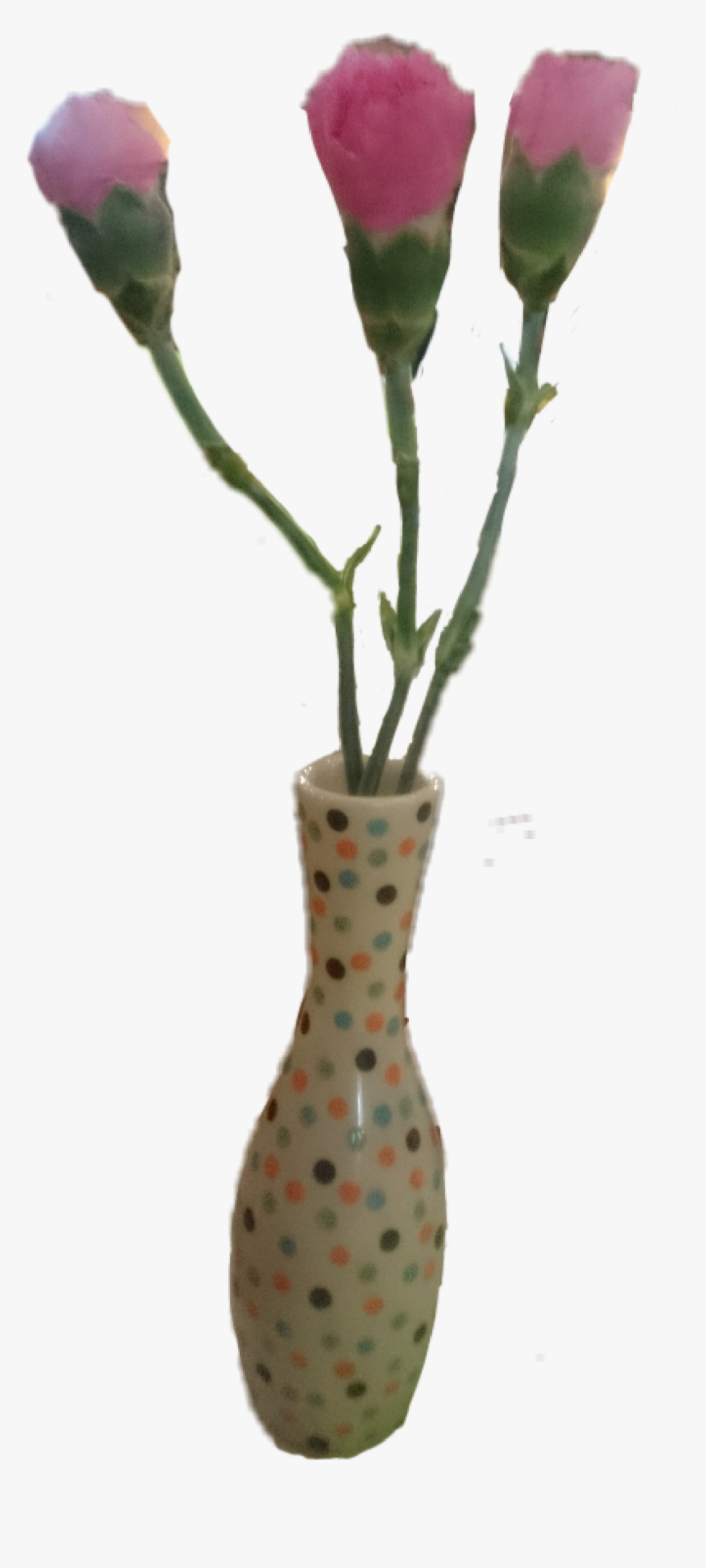 #flores #florero #claveles #clavel #3 #carnation #carnations - Polka Dot, HD Png Download