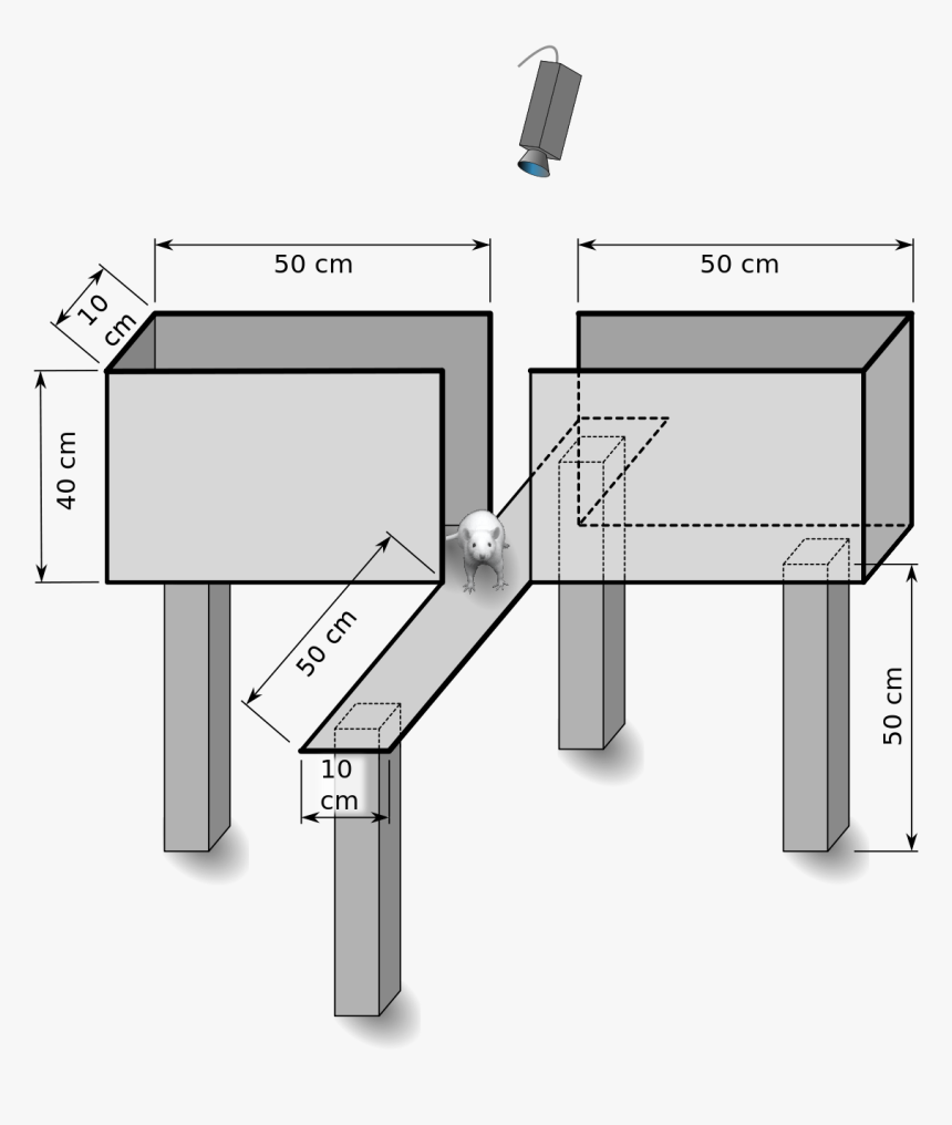 Elevated Plus Maze Apparatus, HD Png Download