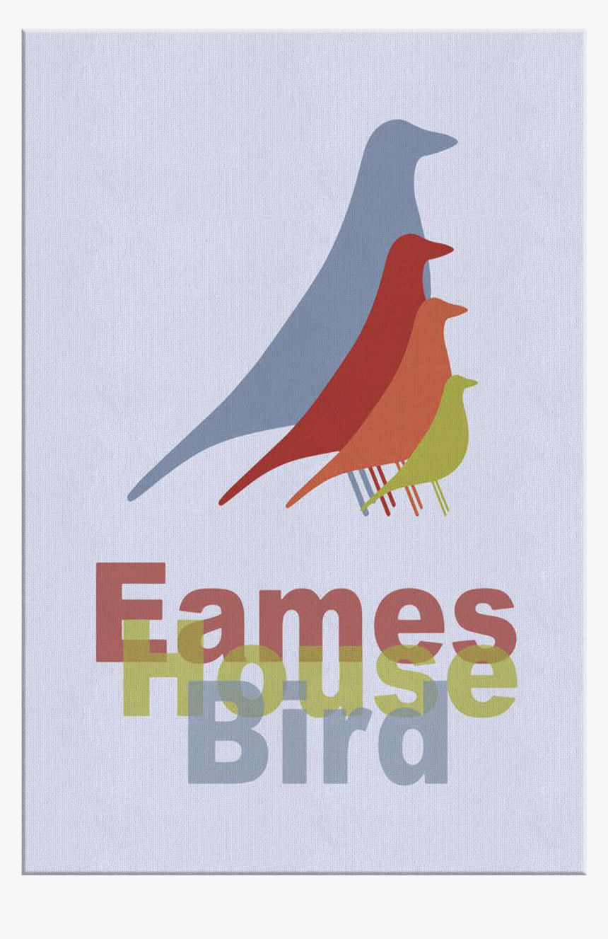 Wood Thrush, HD Png Download