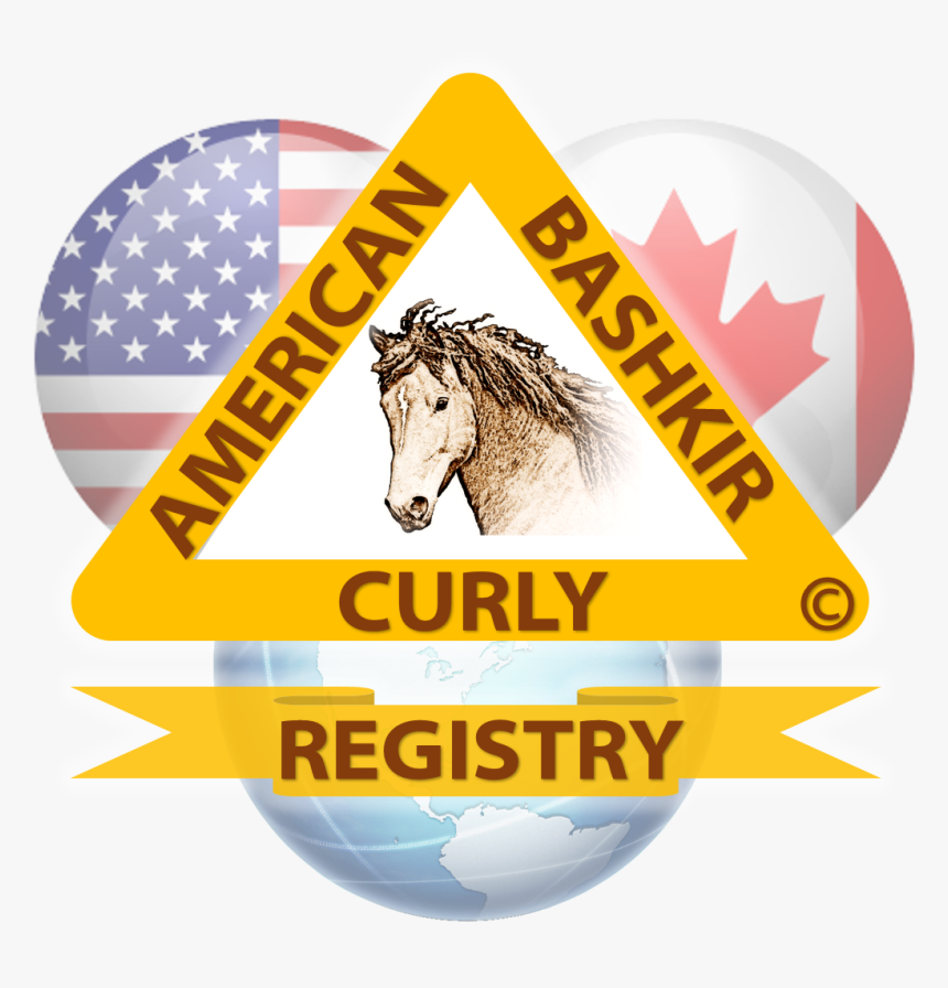 My Photo - Stallion, HD Png Download