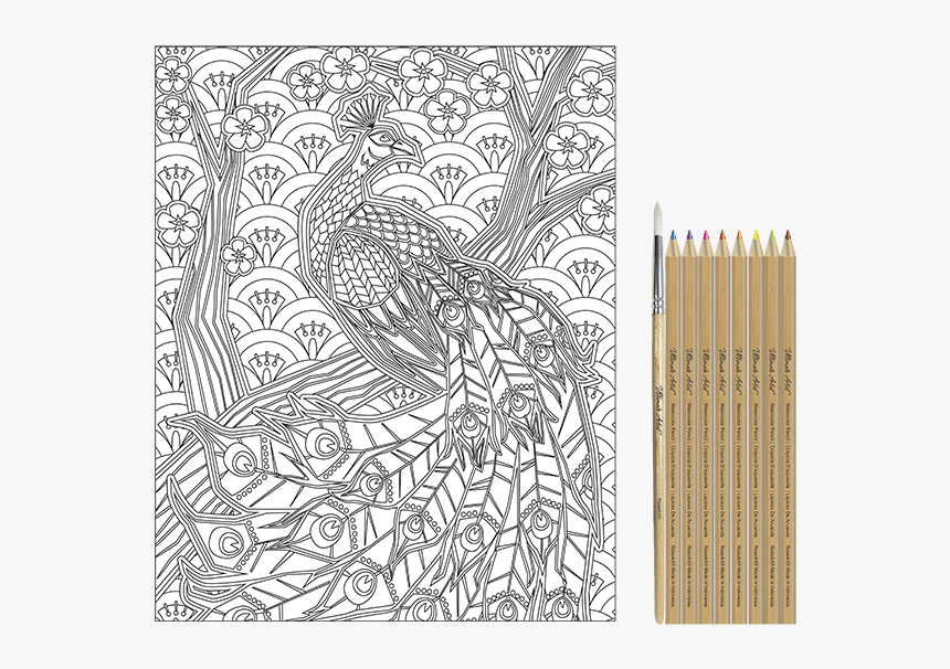 Doodle, HD Png Download