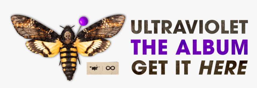 Ultraviolet Cover Website Banner Fg8 8b - Acherontia Atropos, HD Png Download