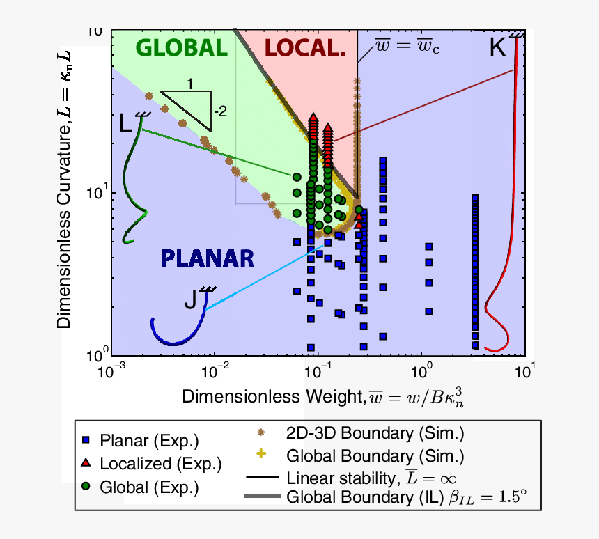 Global, HD Png Download