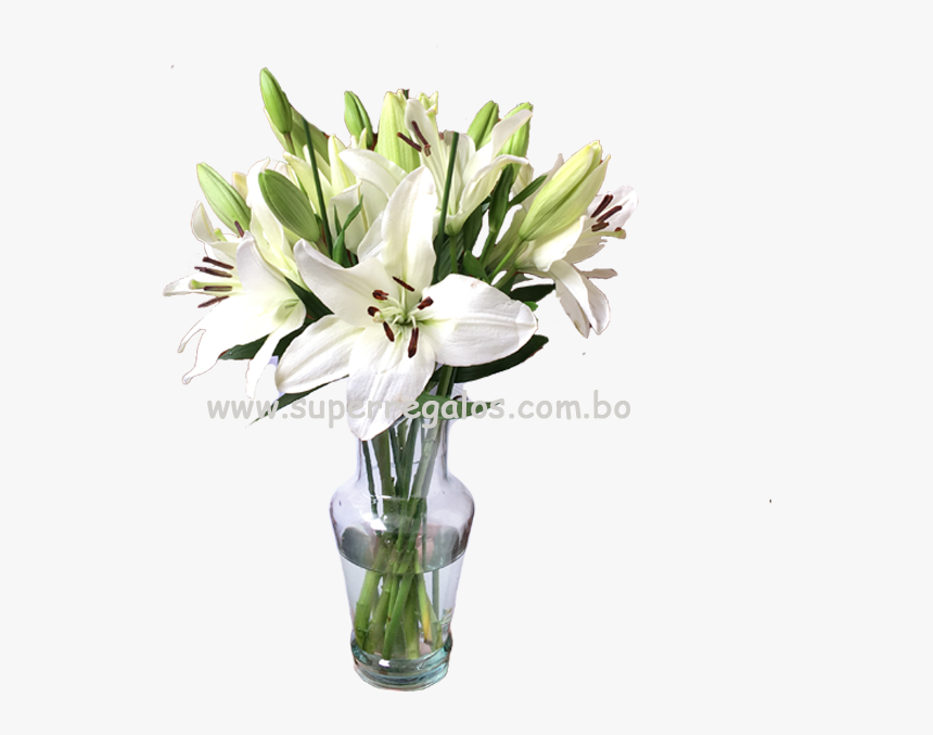 Bouquet, HD Png Download