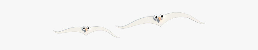 Tern, HD Png Download