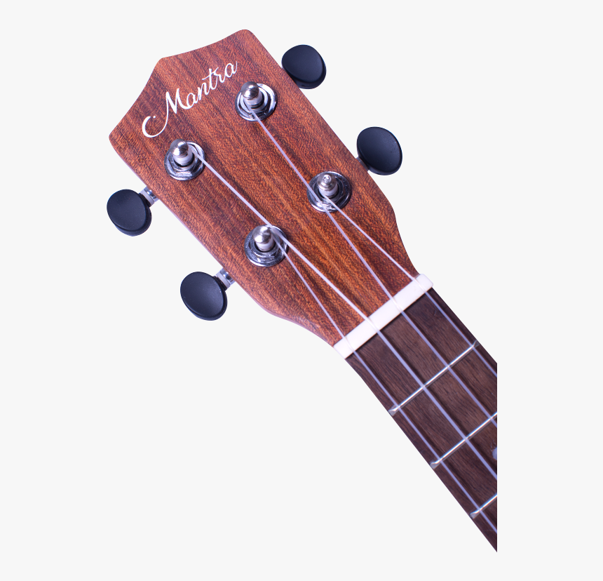 Acoustic Guitar, HD Png Download