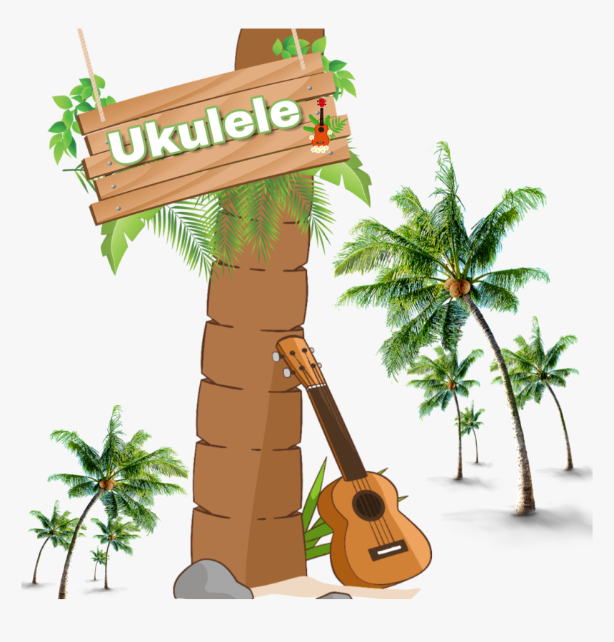 Coconut Tree With Coconut Png, Transparent Png