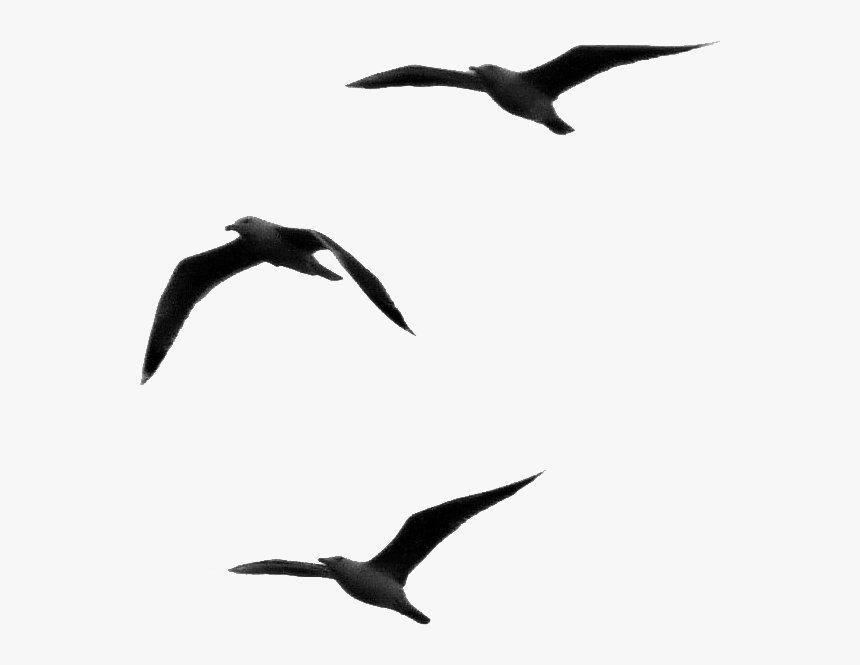 Dios Tiene Un Plan Perfecto, HD Png Download