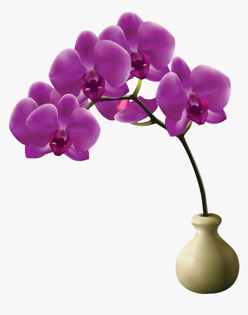 Orchidée En Png, Transparent Png