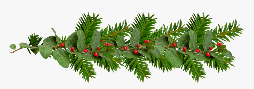 Thumb Image - Decoration Noel Rouge Vert Png, Transparent Png