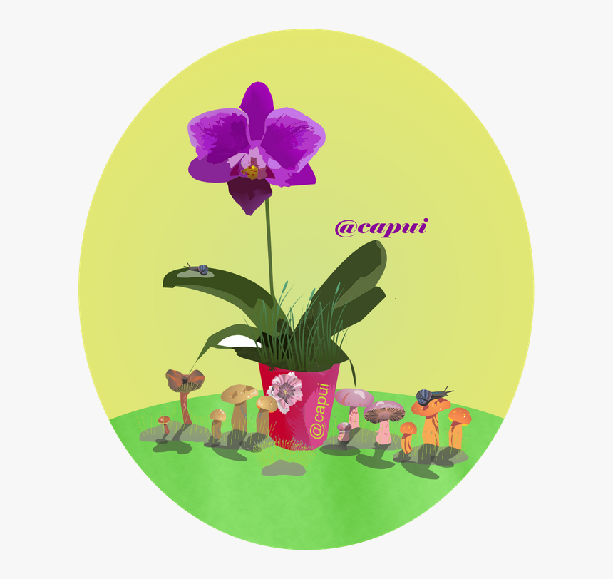 Orchids Of The Philippines, HD Png Download