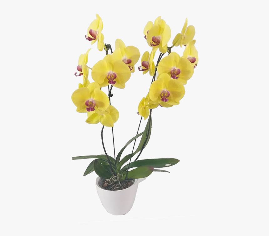 Artificial Flower, HD Png Download