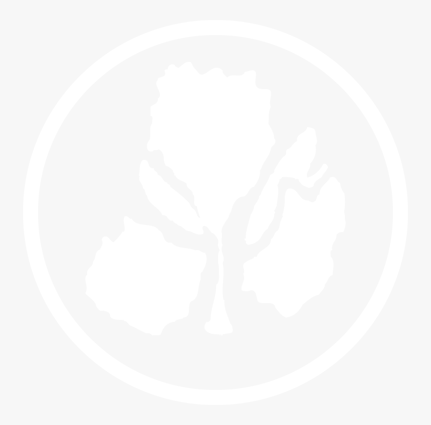 Perlas Orquidea, HD Png Download