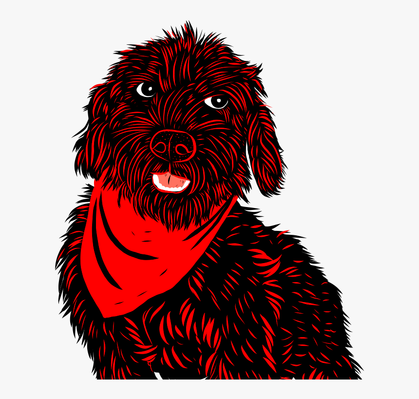 Https - //fundacioncbh - Cl/ - Labradoodle, HD Png Download